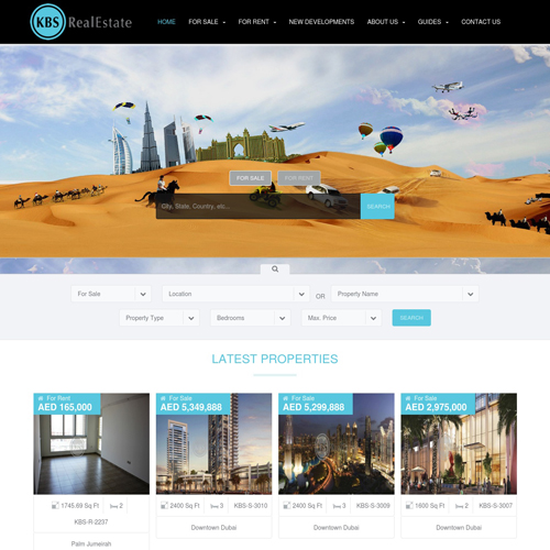 P1,Website Development in Dubai